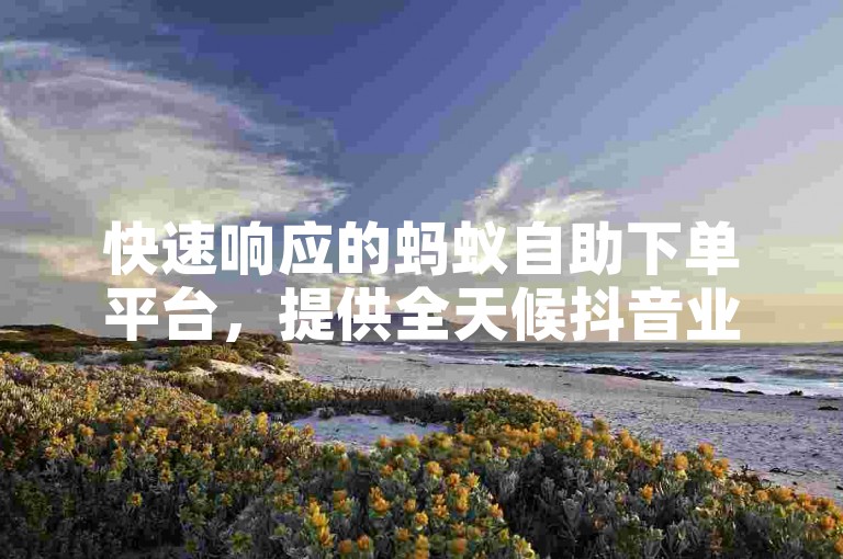 快速响应的蚂蚁自助下单平台，提供全天候抖音业务服务，确保您的订单秒速处理并即时到账。