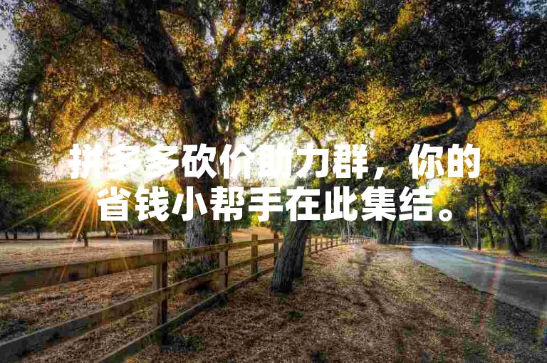 拼多多砍价助力群，你的省钱小帮手在此集结。
