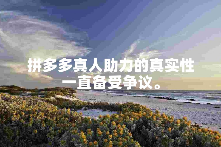 拼多多真人助力的真实性一直备受争议。
