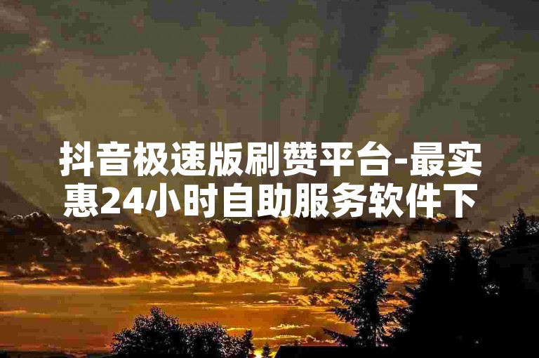 抖音极速版刷赞平台-最实惠24小时自助服务软件下载