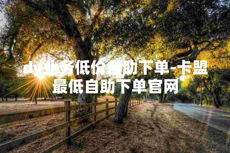 dy业务低价自助下单-卡盟最低自助下单官网