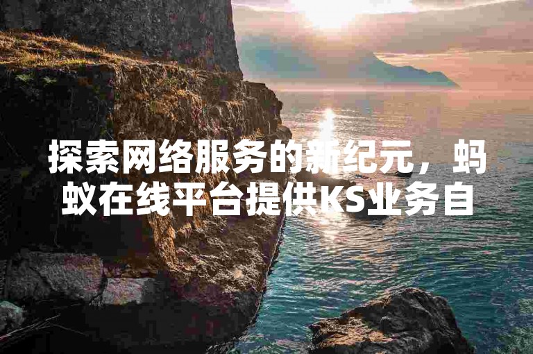 探索网络服务的新纪元，蚂蚁在线平台提供KS业务自助下单，确保您以最低成本获得高效服务。