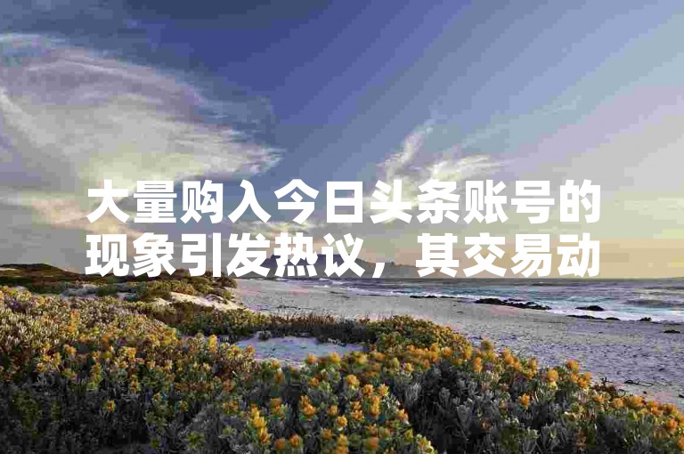 大量购入今日头条账号的现象引发热议，其交易动态备受瞩目。