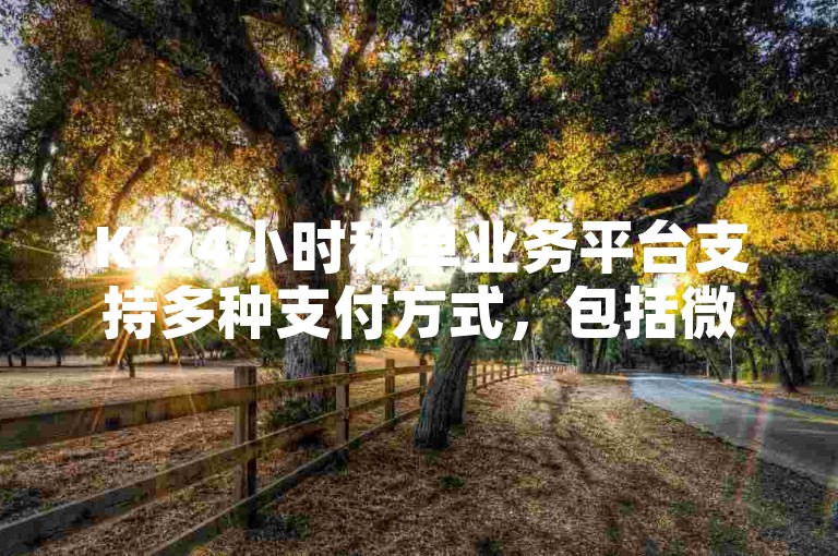 Ks24小时秒单业务平台支持多种支付方式，包括微信支付。