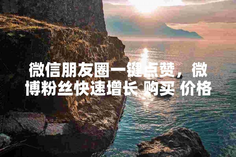 微信朋友圈一键点赞，微博粉丝快速增长 购买 价格优惠 - 在线服务平台 - 社交媒体推广助手。