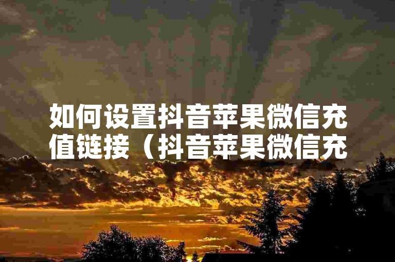 如何设置抖音苹果微信充值链接（抖音苹果微信充值指南）。
