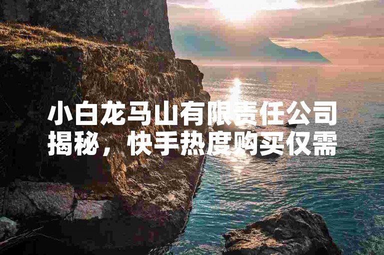 小白龙马山有限责任公司揭秘，快手热度购买仅需0.01元！2024年必学技巧。