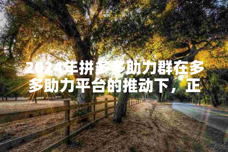 2024年拼多多助力群在多多助力平台的推动下，正蓬勃兴起。