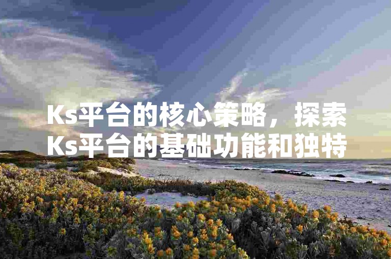 Ks平台的核心策略，探索Ks平台的基础功能和独特优势，新手入门指南！