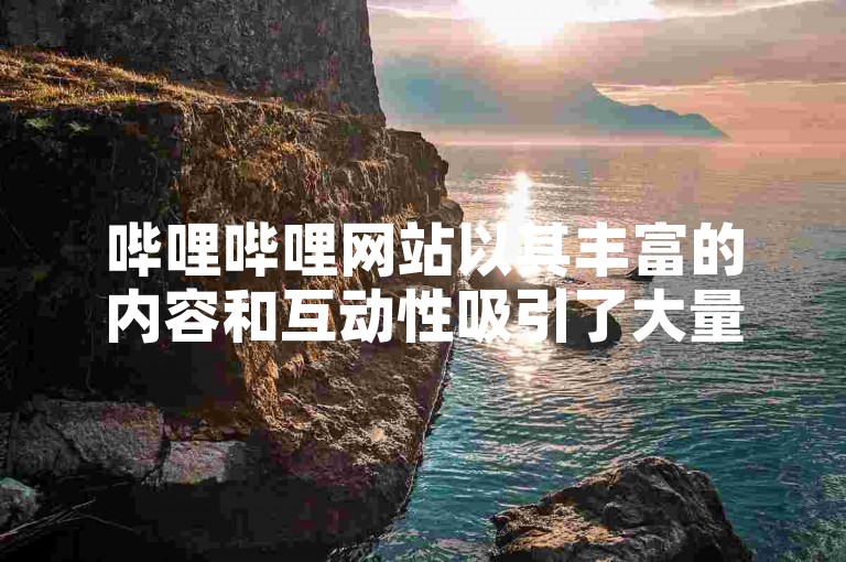 哔哩哔哩网站以其丰富的内容和互动性吸引了大量年轻用户，成为他们获取信息、娱乐和社交的重要平台。
