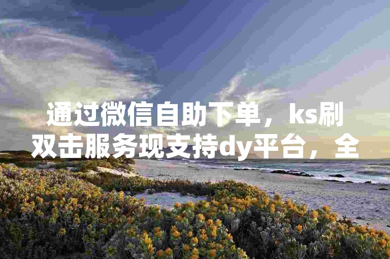 通过微信自助下单，ks刷双击服务现支持dy平台，全天候为苹果用户提供优质下载体验。