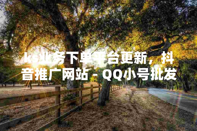 ks业务下单平台更新，抖音推广网站 - QQ小号批发平台 - qq访客为零却有浏览量。