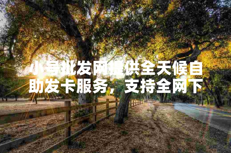 小号批发网提供全天候自助发卡服务，支持全网下单业务，用户可通过卡盟自助下单入口轻松购买。
