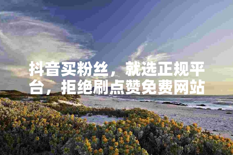 抖音买粉丝，就选正规平台，拒绝刷点赞免费网站。