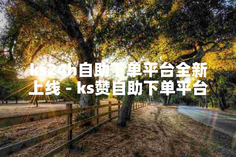 ks24h自助下单平台全新上线 - ks赞自助下单平台