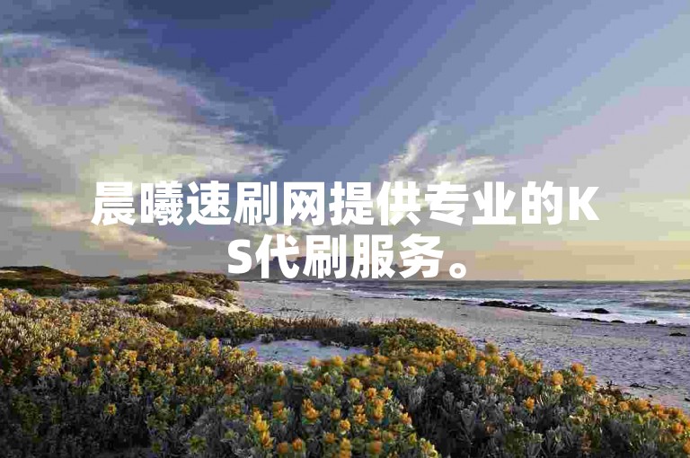 晨曦速刷网提供专业的KS代刷服务。