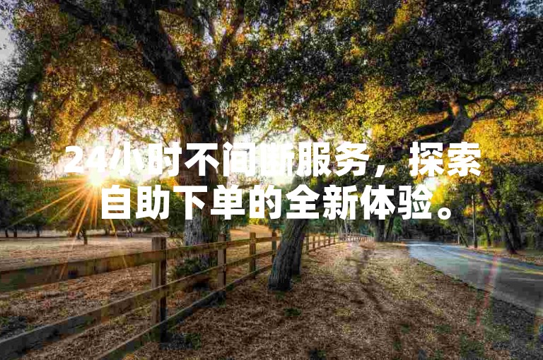 24小时不间断服务，探索自助下单的全新体验。