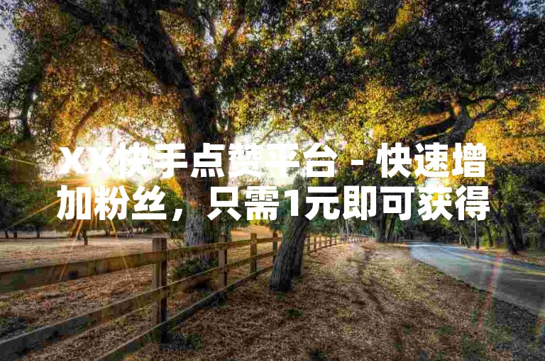 XX快手点赞平台 - 快速增加粉丝，只需1元即可获得1000个赞！