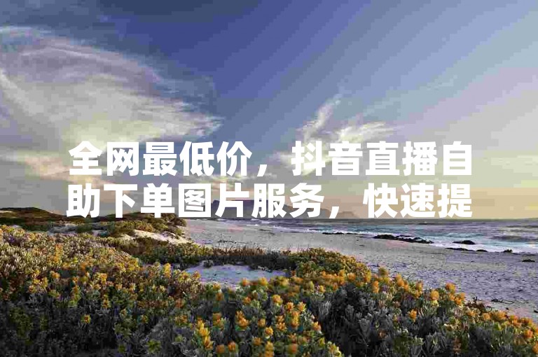 全网最低价，抖音直播自助下单图片服务，快速提升点赞量。
