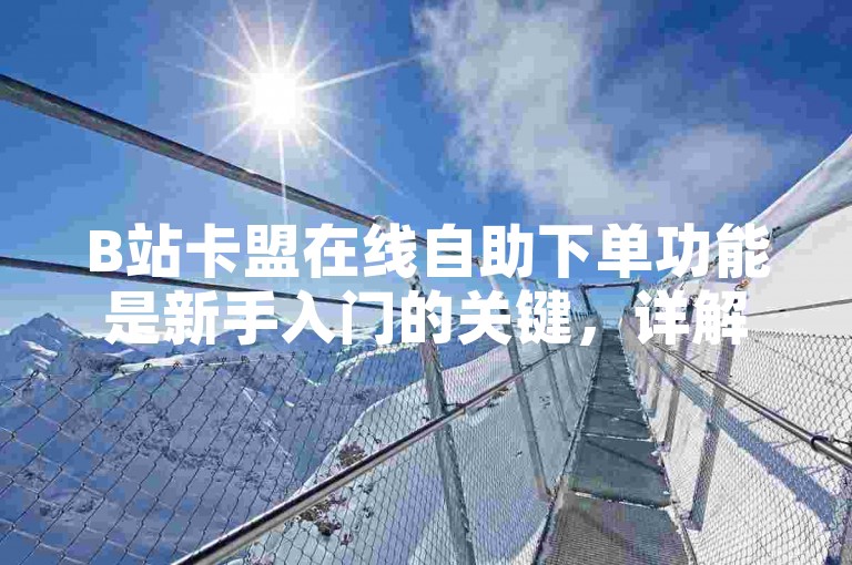 B站卡盟在线自助下单功能是新手入门的关键，详解其操作步骤和注意事项！