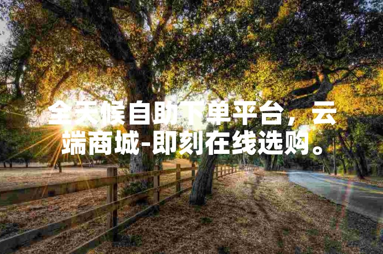 全天候自助下单平台，云端商城-即刻在线选购。