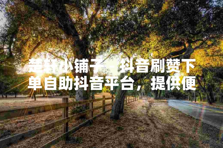 楚轩小铺子 - 抖音刷赞下单自助抖音平台，提供便捷的点赞服务。