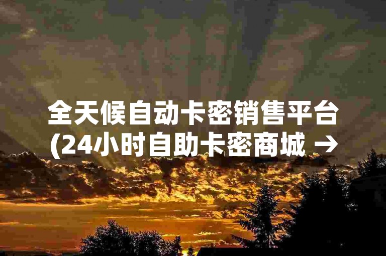 全天候自动卡密销售平台(24小时自助卡密商城 → 全天候自动卡密销售平台)