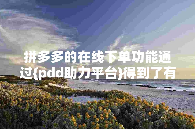拼多多的在线下单功能通过{pdd助力平台}得到了有效的推广。