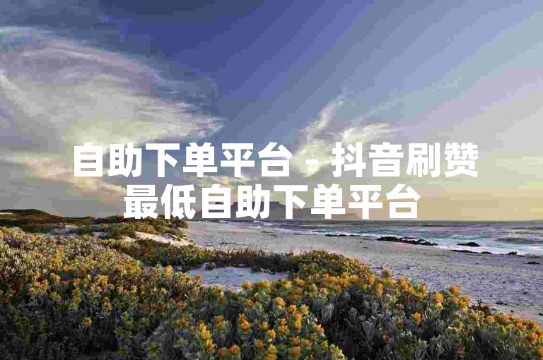 自助下单平台 - 抖音刷赞最低自助下单平台