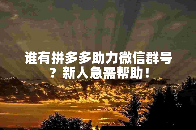 谁有拼多多助力微信群号？新人急需帮助！
