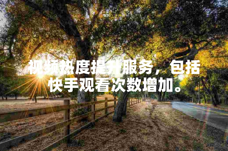 视频热度提升服务，包括快手观看次数增加。