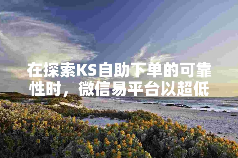 在探索KS自助下单的可靠性时，微信易平台以超低价吸引用户，但其可信度仍需谨慎评估。