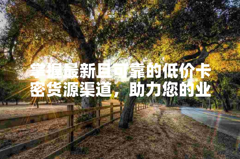 掌握最新且可靠的低价卡密货源渠道，助力您的业务高效增长。