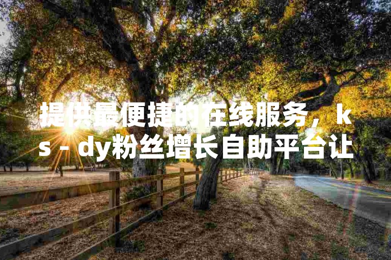 提供最便捷的在线服务，ks - dy粉丝增长自助平台让您轻松获得更多关注者。