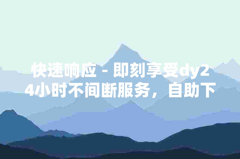快速响应 - 即刻享受dy24小时不间断服务，自助下单更便捷。