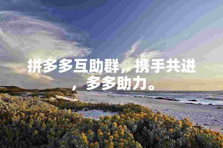 拼多多互助群，携手共进，多多助力。