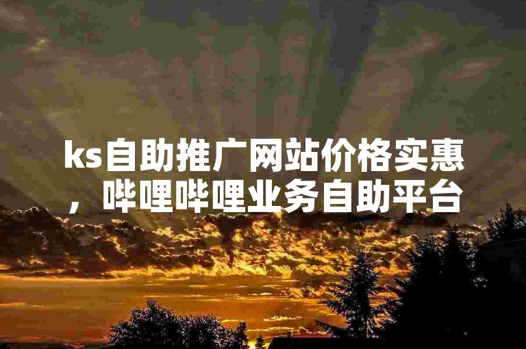 ks自助推广网站价格实惠，哔哩哔哩业务自助平台便捷高效。