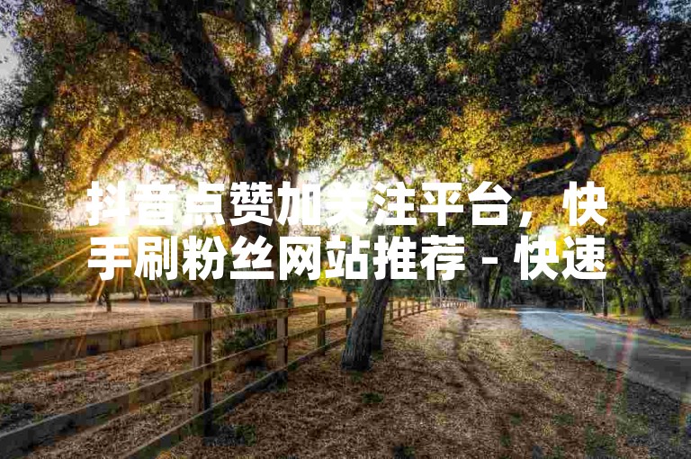 抖音点赞加关注平台，快手刷粉丝网站推荐 - 快速获得1000赞的方法。