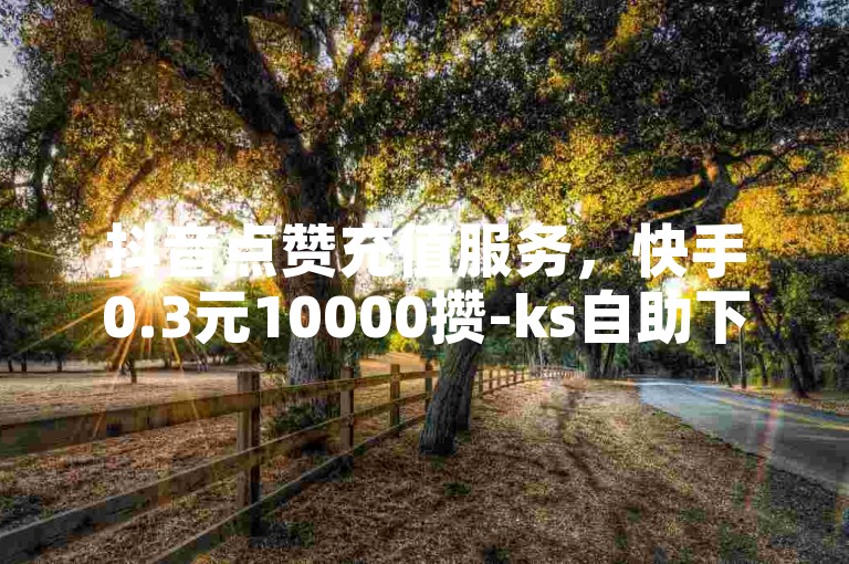 抖音点赞充值服务，快手0.3元10000攒-ks自助下单业务，24小时低价自助下单。