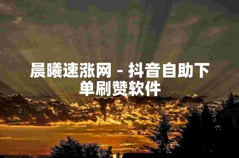 晨曦速涨网 - 抖音自助下单刷赞软件