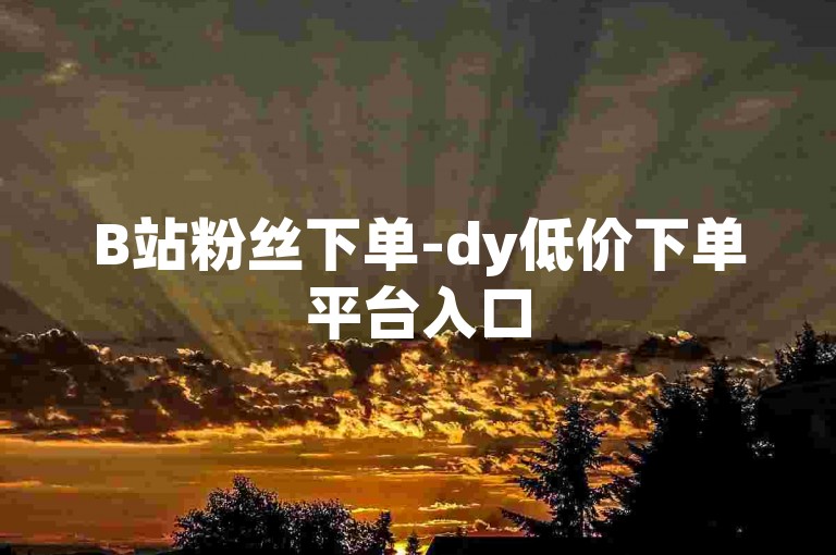 B站粉丝下单-dy低价下单平台入口