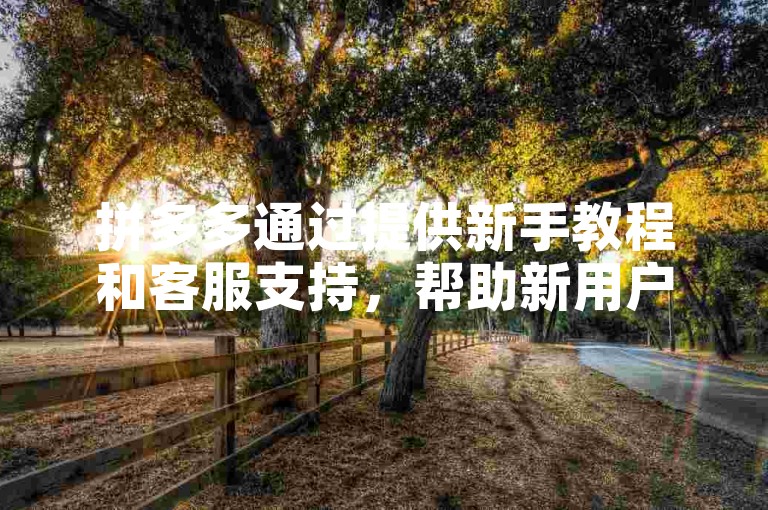 拼多多通过提供新手教程和客服支持，帮助新用户顺利完成购物流程。
