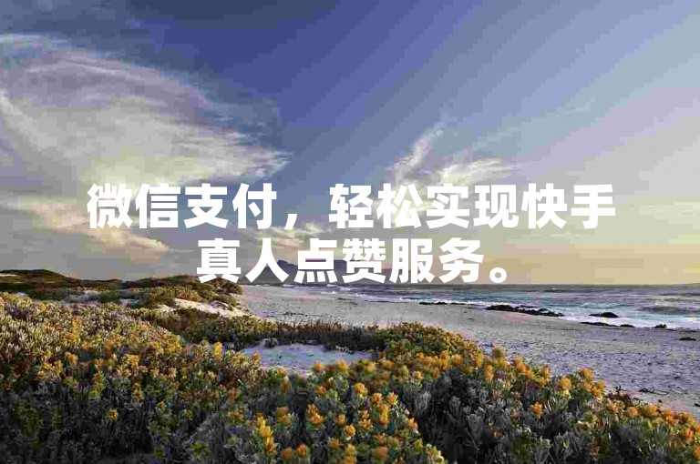 微信支付，轻松实现快手真人点赞服务。
