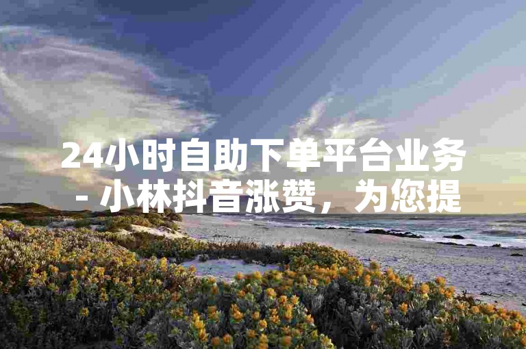 24小时自助下单平台业务 - 小林抖音涨赞，为您提供便捷的在线服务。
