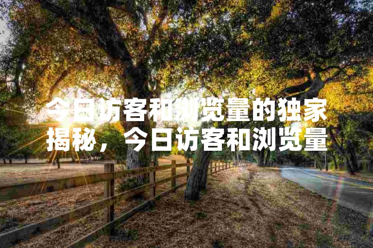 今日访客和浏览量的独家揭秘，今日访客和浏览量飙升！2025必学。