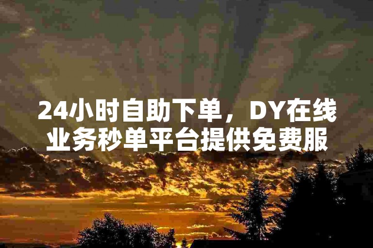 24小时自助下单，DY在线业务秒单平台提供免费服务 - 探索ks业务低价自助下单平台的快速响应。