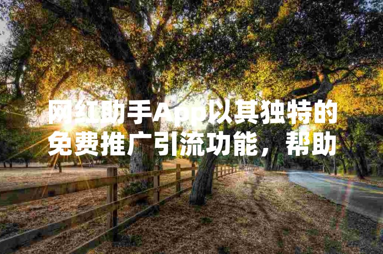 网红助手App以其独特的免费推广引流功能，帮助用户轻松提升社交媒体影响力。