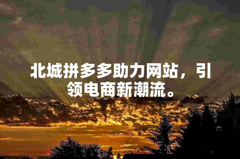 北城拼多多助力网站，引领电商新潮流。