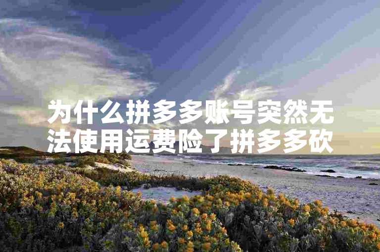 为什么拼多多账号突然无法使用运费险了拼多多砍价？