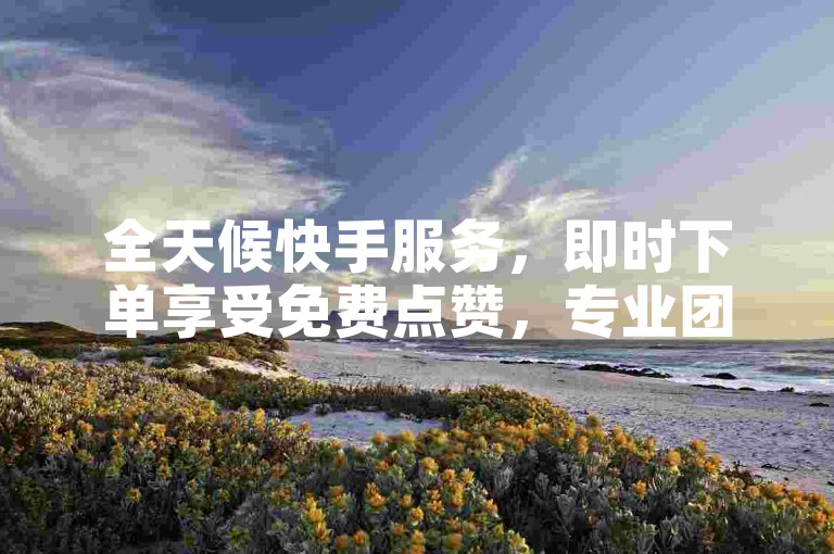 全天候快手服务，即时下单享受免费点赞，专业团队随时待命。